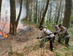 Sinergitas Polres Ngawi Bersama TNI dan Pemkab Upaya Padamkan Api di Lereng Gunung Lawu