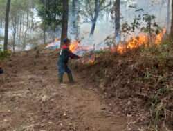 Relawan BPPI Jatim Menjadi Ujung Tombak Pemadaman Gunung Lawu