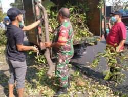 Babinsa Kemlayan Pelopri Kerja Bakti Dengan Warganya