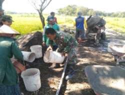 Karya Bakthi Babinsa Simo dalam pengecoran Jalan Desa Binaan