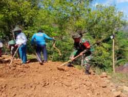 Permudah Akses Transportasi Warga, Babinsa Koramil 0801/04 Tegalombo Karya Bakti Rabat Jalan