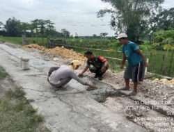 Babinsa Desa Sumber Bersama Masyarakat Kerja Bakti Pengecoran Jalan