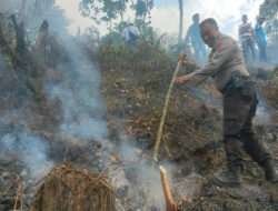 Sinergitas Polisi bersama TNI dan BPBD Padamkan Kebakaran di Perkebunan Gunung Terong Banyuwangi