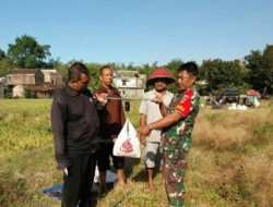 Tingkatkan Hasil Panen, Babinsa Bersama Petugas Penyuluhan Pertanian Lapangan Lakukan Giat Pengubinan