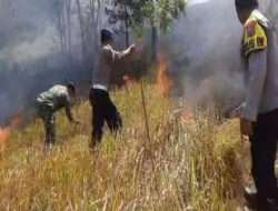 Polisi Bersama Petugas Gabungan Berhasil Padamkan Kebakaran Hutan Gunung Pucang Ranggah di Lumajang