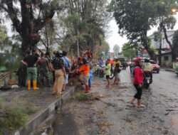 Tanggap Darurat, Piket Koramil 03 Serengan Bantu Evakuasi Pohon Tumbang