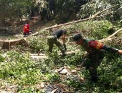 Evakuasi Pohon Tumbang di Tengah Sungai Paska Angin Kencang, Babinsa Laweyan Turun Tangan