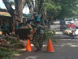 Jelang Musim Hujan Babinsa Banjarsari Bersama DLH Rapikan Pohon Disepanjang Jalan