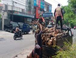 Antisipasi Pohon Tumbang, Babinsa Serengan Bantu Tebang Pohon dan  Ranting