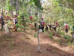 Lestarikan Hutan Polres Tulungagung Tanam Pohon di D Capin