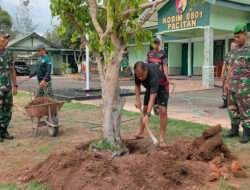 Upaya Atasi Pemanasan Global, Dandim 0801/Pacitan Lakukan Penanaman Pohon