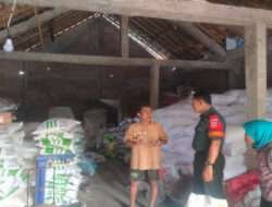 Babinsa : Penyaluran Pupuk Subsidi Harus Tepat Waktu, Tepat Sasaran Dan Tepat Guna
