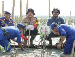 HUT Korp Brimob ke -78 dan Polairud ke – 73, Kapolres Gresik Dampingi Kapolda Jatim Tanam 18.300 Bibit Mangrove