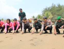 Ratusan Tukik Dilepas Dandim 0806 dan Kapolres Trenggalek untuk Memperingati HUT Brimob dan Polair