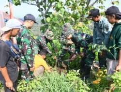 Hijaukan Lingkungan, Kodim 0802/Ponorogo Adakan Aksi Tanam dan Rawat Pohon
