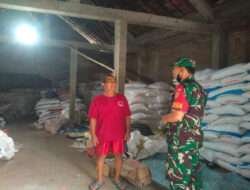 Babinsa Kawal Penggunaan Pupuk Bersubsidi