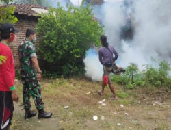 Cegah Penyebaran Penyakit Demam Berdarah, Babinsa Koramil 0812/06 Ngimbang Lakukan Ini