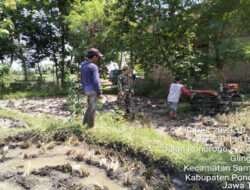 Suskseskan Swapang, Babinsa Kodim 0802/Ponorogo Lakukan Pendampingan Petani
