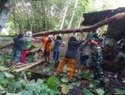 Babinsa Minggir Dengan Warga Gerak Cepat Evakuasi Pohon Tumbang