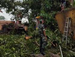 Gerak cepat, Babinsa Bantu Evakuasi Pohon Tumbang