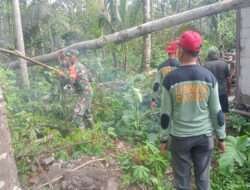 Babinsa Koramil Ampel Bersama Warga Evakuasi Pohon Tumbang dan Perbaiki Rumah warga