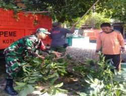 Cegah Dini Bencana Alam, Babinnsa Keprabon Bersama Tim Saberling Kerja Bakti Bersihkan Lingkungan