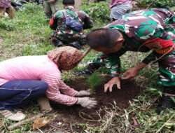 Lanjutkan Penghijauan Lereng Lawu, Kodim Ngawi Bersama Perhutani dan Warga Tanam Ratusan Pohon Pinus