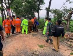Gerak Cepat Polisi dan TNI Bantu Tangani Pohon Tumbang, Jalan Raya Gondang Tulungagung Kembali Normal