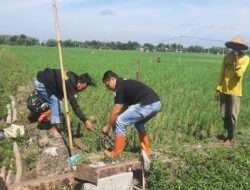 Babinsa Karangjati Himbau Petani Larang Jebakan Setrum Tikus di Area Sawah Warga