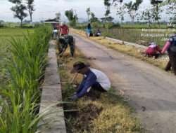 Lestarikan Lingkungan, Babinsa Kodim 0802/Ponorogo Ikut Tanam Bibit Pohon