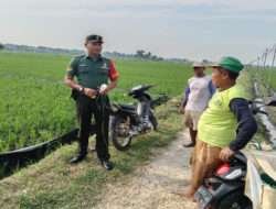 Babinsa Koramil 05/Karangjati Mengingatkan dan Himbau Warganya Tentang Bahaya Jebakan Setrum Tikus