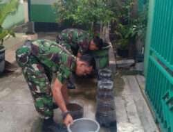 Manfaatkan Galon Bekas, Anggota Koramil 01/Laweyan Tanam Bibit Cabe, Tomat, Dan Terong