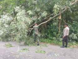 Kolaborasi Tangguh: Sinergi TNI-Polri, BPBD dan Warga Atasi Dampak Pohon Tumbang di Desa Sugihan, Trenggalek