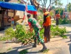 Antisipasi Pohon Tumbang, Babinsa Purwodiningratan Bersama DLH Rapikan Cabang Pohon di Bahu Jalan