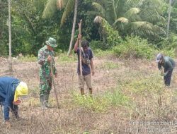 Bantu Warga Tanam Jagung, Danramil 1307-09/Poso Pesisir Berharap Hadirnya Babinsa Bisa Meringankan Beban Petani