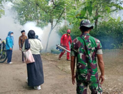 Cegah Penyebaran DBD, Babinsa Koramil 0801/11 Donorojo Dampingi Dinkes Pacitan Lalukan Foging