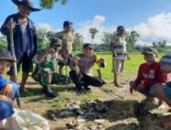 Babinsa Koramil Karangjati Bersama Petani Gropyokan Hama Tikus