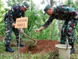 Menyatu Dengan Alam, Dandim 0801/Pacitan Edukasi Masyarakat Melalui Penanaman Pohon