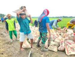 Cerita Mbah Jimin Usia Renta Ikut Bangun Jalan Di Desanya