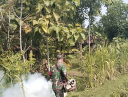 Bersama Dinas Kesehatan,Babinsa Koramil Pangkur Lakukan Fogging