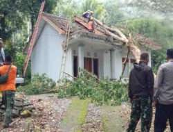 Solidaritas Tiga Pilar Desa Watuagung dalam Menanggulangi Dampak Pohon Tumbang