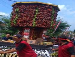 Panen Raya, Desa Jarak Gelar Tumpengan Manggis