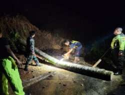 Bertindak Cepat, Anggota Koramil 0801/04 Tegalombo Evakuasi Material longsor Dan Pohon Tumbang