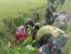 Cuaca Cerah Anggota Satgas TMMD dan Warga Kebut Kerjaan Talud