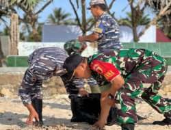 Melalui Aksi Bersih-Bersih Pantai, Koramil 0801/12 Pringkuku Berkontribusi Dukung Pariwisata Di Pacitan