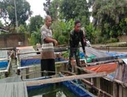 Ditengah kesibukan menjalankan satgas TMMD Sragen, Prajurit Satgas belajar Kepada Sang Maestro Budidaya ikan Lele