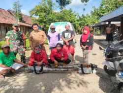 Cegah DBD, Babinsa Karangjati Aktif Bergerak Melawan Demam Berdarah di Wilayah