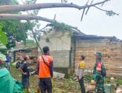 Babinsa Tasikmadu Beraksi: Kisah Inspiratif Gotong Royong Atasi Bencana Pohon Tumbang di Trenggalek