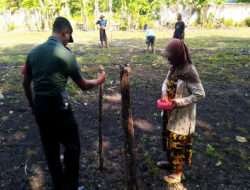 Jaga Ketahanan Pangan, Babinsa Bantu Warga Tanam Jagung
