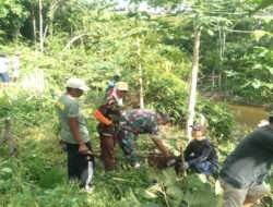 Babinsa dan Warga Lakukan Penghijauan di Bantaran Sungai Kadirno